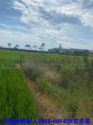 嘉義西區農地-3