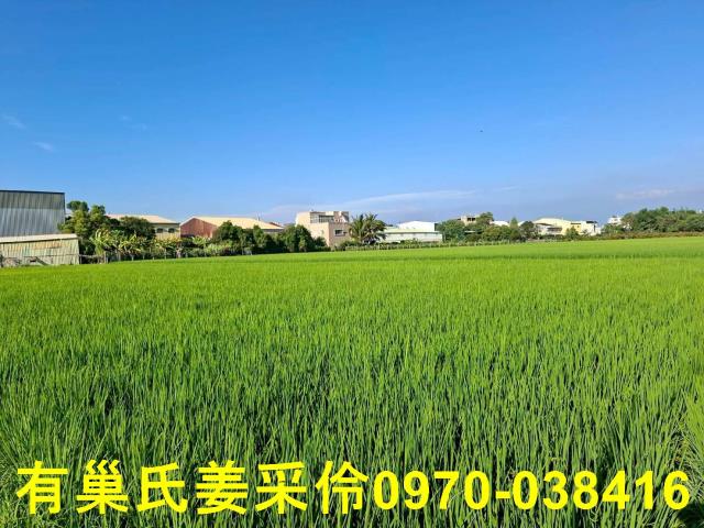 嘉義西區農地-7