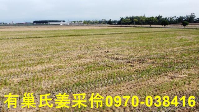 嘉義大林農地-5