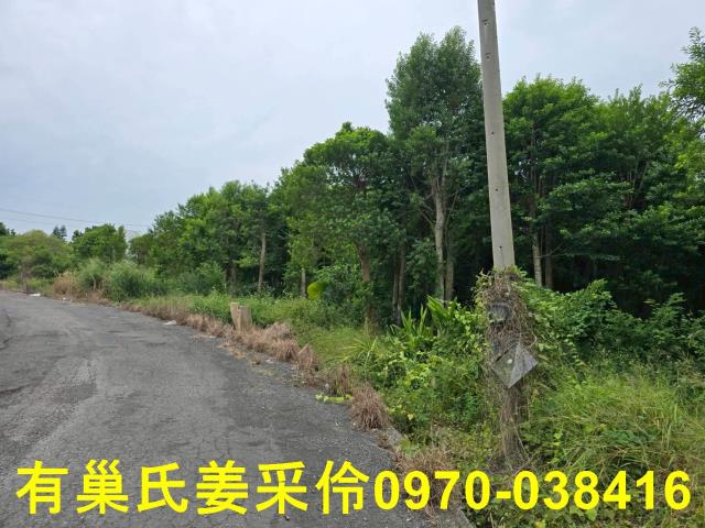 嘉義民雄農地-9