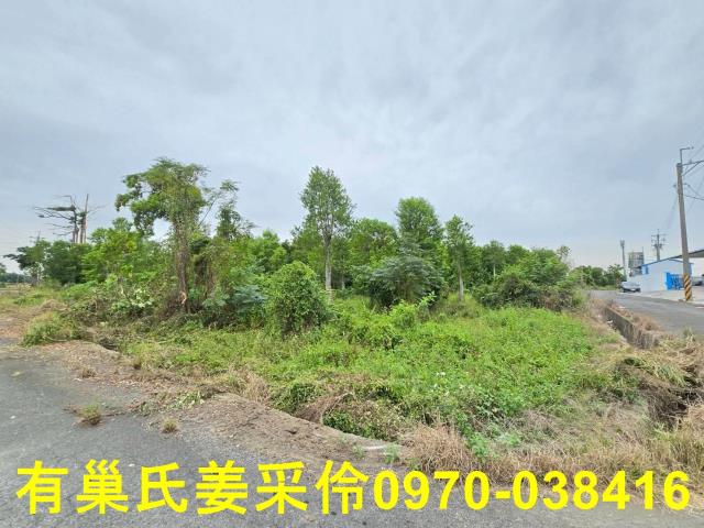 嘉義民雄農地-0