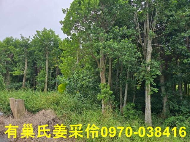 嘉義民雄農地-8