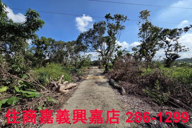 嘉義水上農地-6