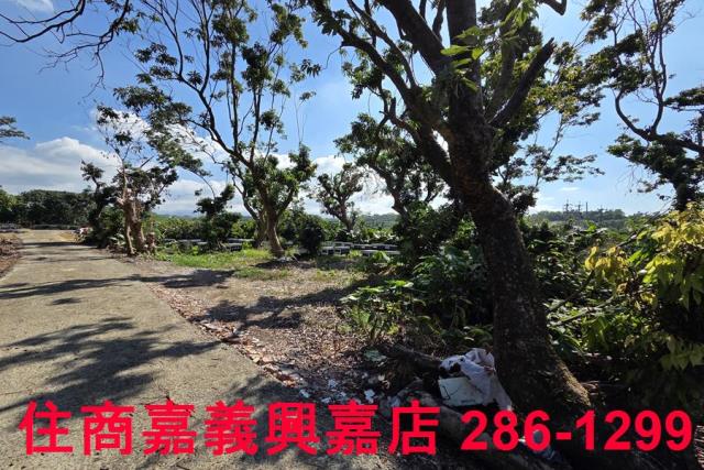 嘉義水上農地-8