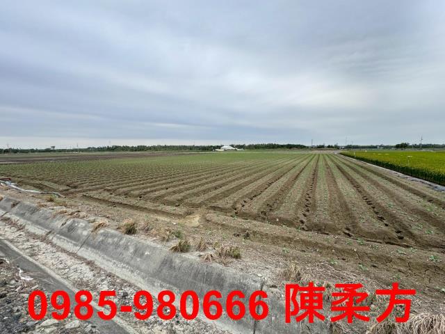 嘉義水上農地-0