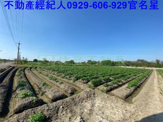嘉義農地-0