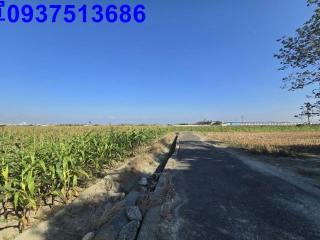 嘉義新港農地-10