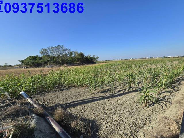 嘉義新港農地-0