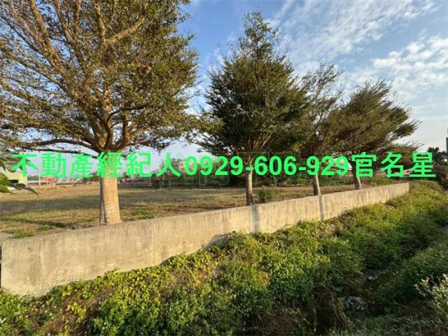 嘉義鹿草工業地-2