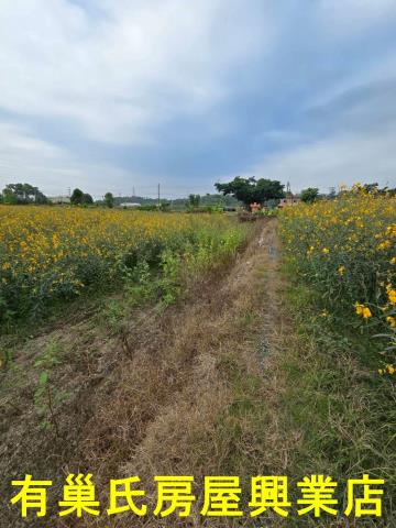 嘉義中埔建地-8