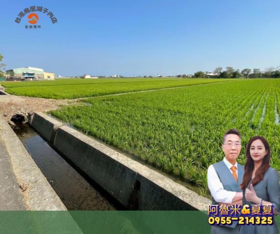 嘉義新港農地-3