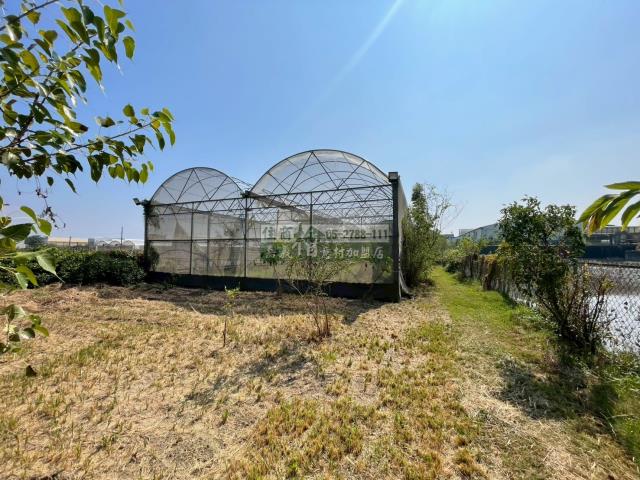 嘉義民雄農地-4