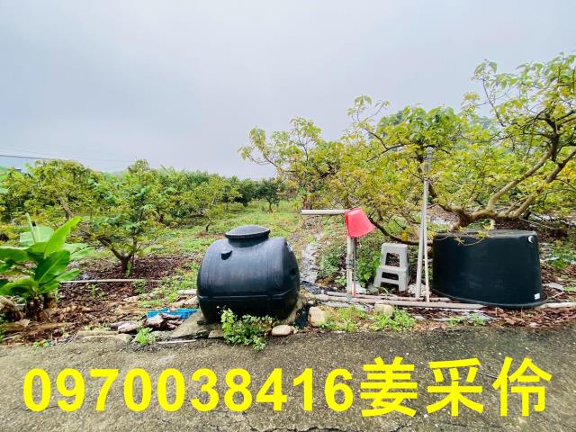 嘉義中埔農地-3