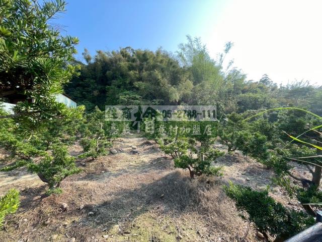 嘉義竹崎農地-10