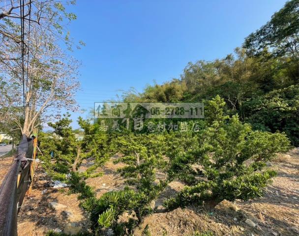 嘉義竹崎農地-5