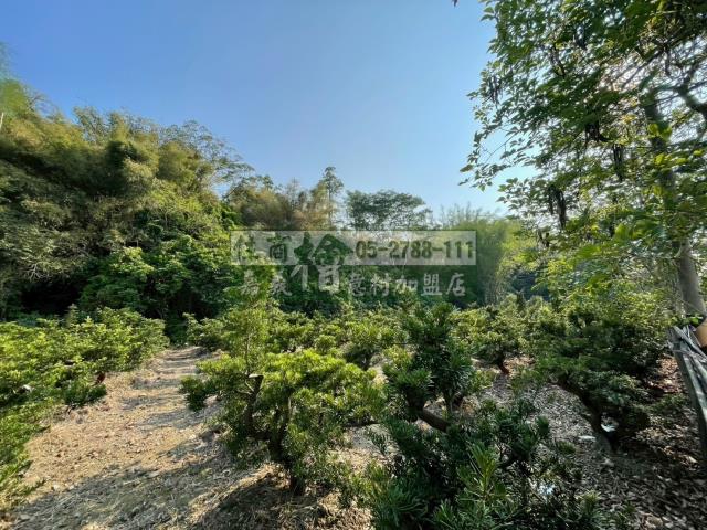 嘉義竹崎農地-6