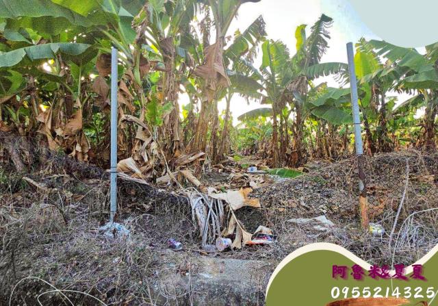 嘉義水上農地-1