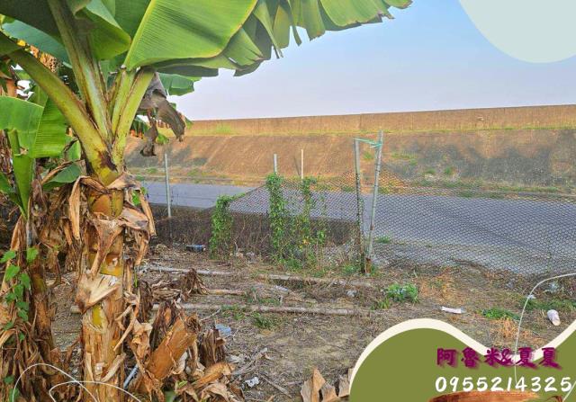 嘉義水上農地-6