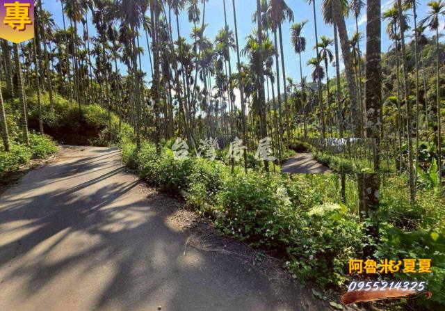 嘉義梅山農地-1