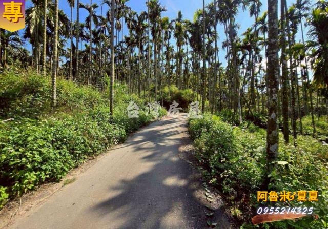 嘉義梅山農地-2