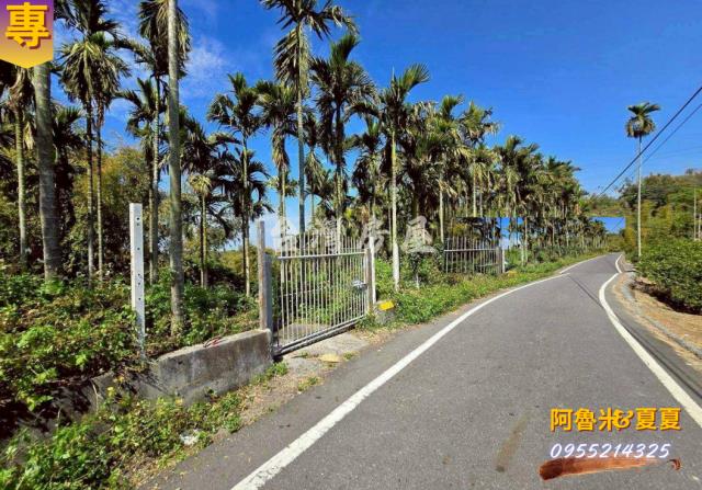 嘉義梅山農地-3