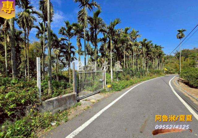 嘉義梅山農地-4