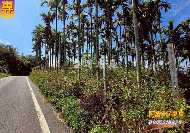 嘉義梅山農地-5