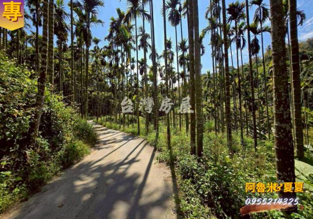 嘉義梅山農地-6