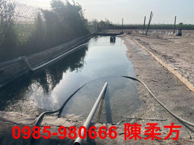 六腳農地-11