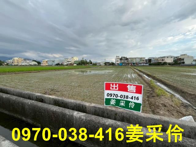 嘉義大林農地-1