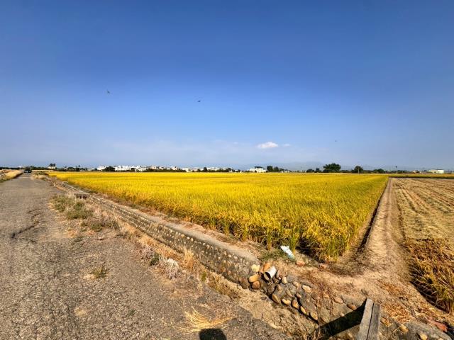 嘉義農地-10
