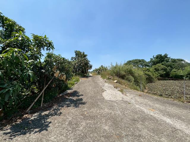 嘉義大林農地-5
